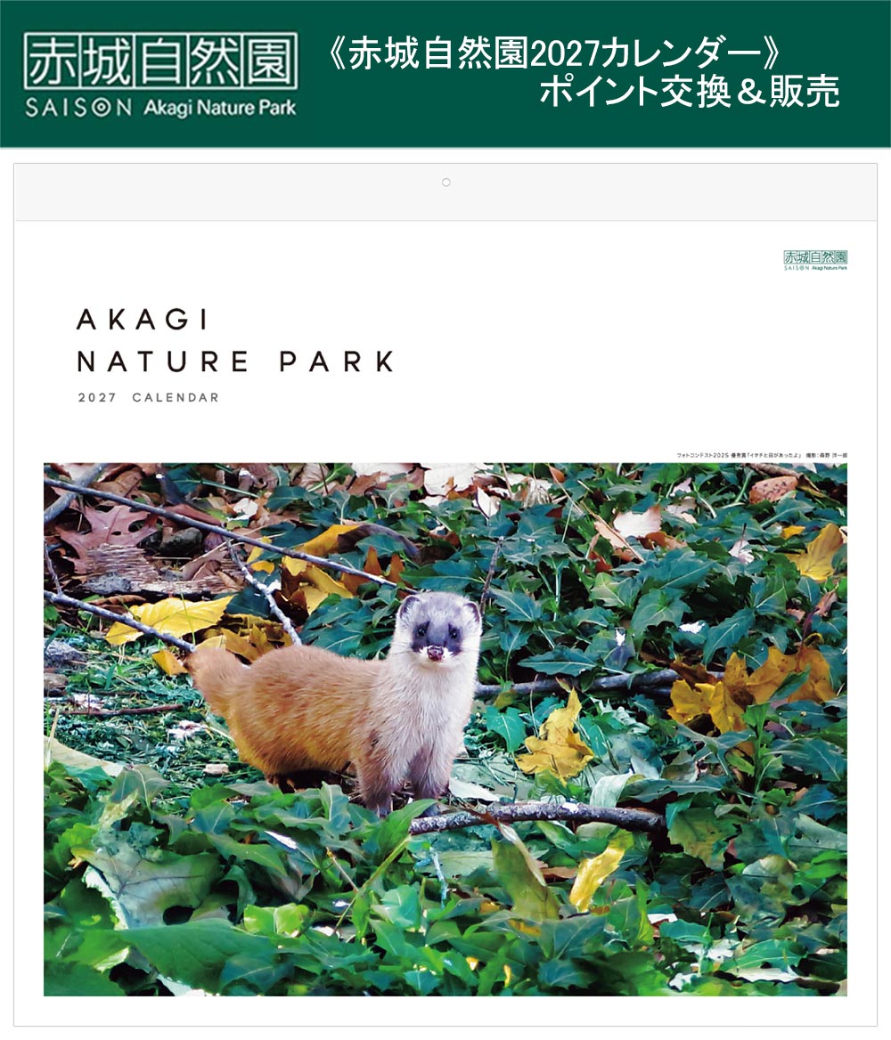《赤城自然園2027カレンダー》2026年9月16日～2027年1月31日ポイント交換