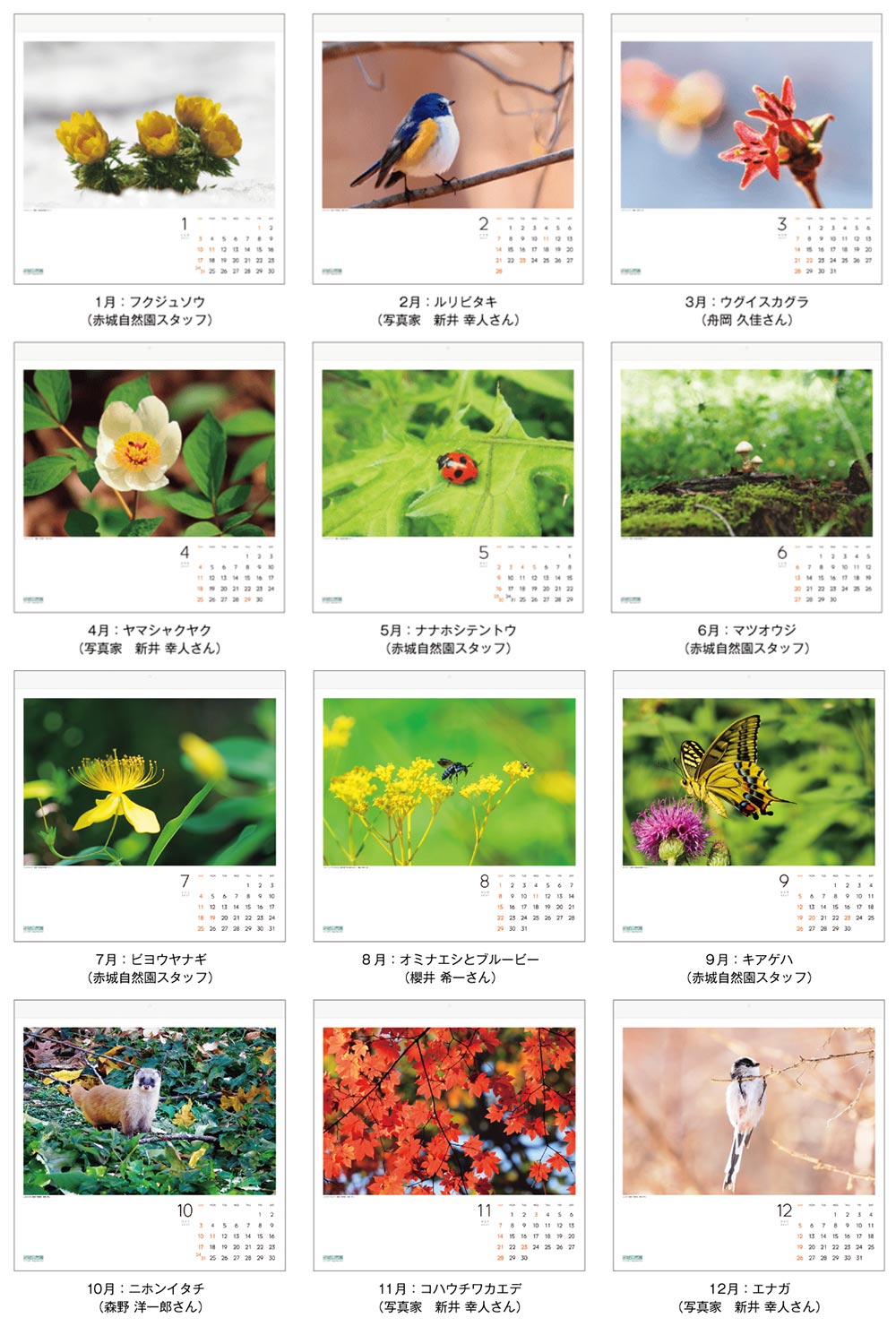 《赤城自然園2027カレンダー》2026年9月16日～2027年1月31日ポイント交換