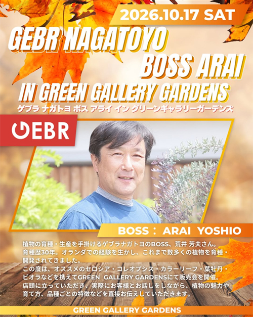 2026年10月17日 グリーンギャラリーガーデンズ八王子本店にゲブラナガトヨのBOSSがご来店！