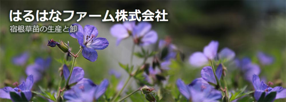 はるはなファーム