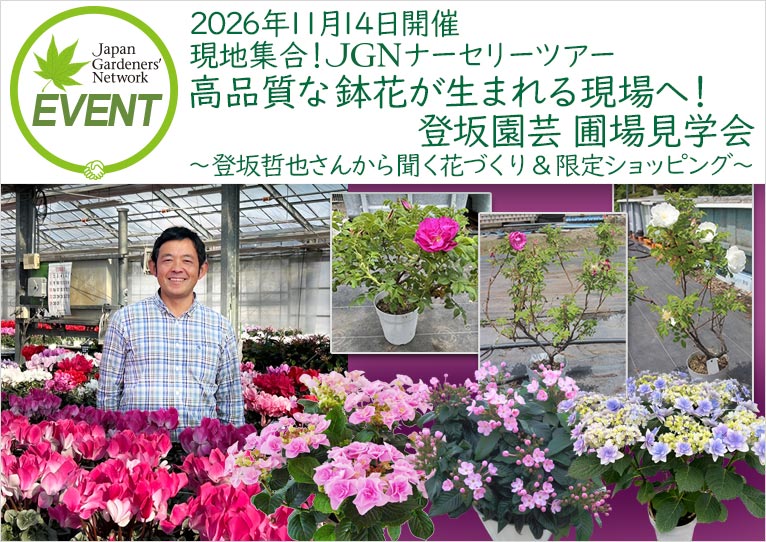 2026年11月14日開催 現地集合！JGNナーセリーツアー『高品質な鉢花が生まれる現場へ！登坂園芸 圃場見学会』〜登坂哲也さんから聞く花づくり＆限定ショッピング〜 講師：登坂園芸 代表・JGNメンバー 登坂 哲也さん