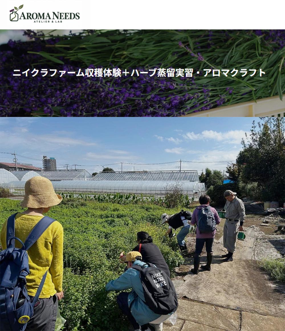 2026年11月16日　ニイクラファーム収穫体験＋ハーブ蒸留実習・アロマクラフト