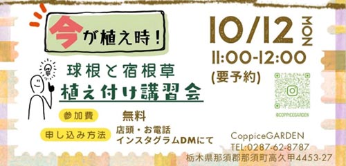 10月12日(月・祝)開催 植え付け講習会