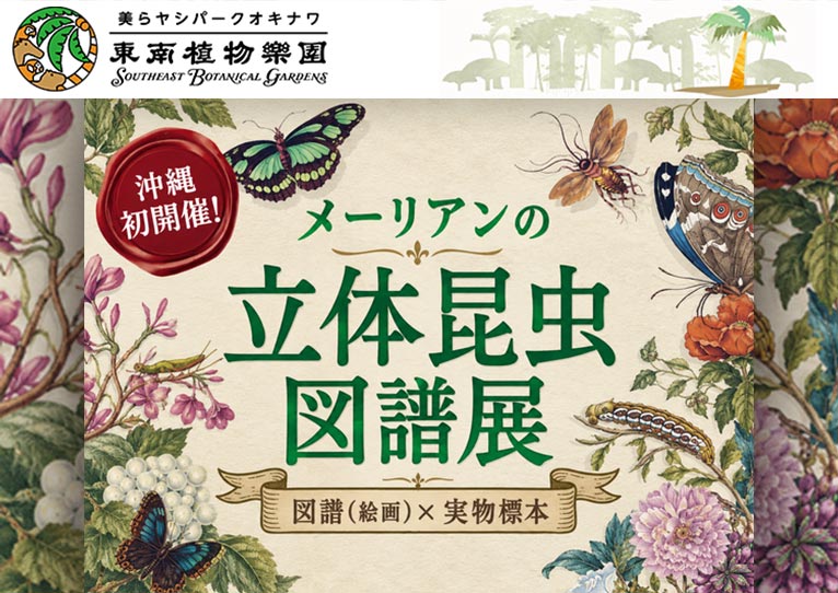 2026年10月3日～2027年3月15日『メーリアンの立体昆虫図譜展』美らヤシパークオキナワ・東南植物楽園