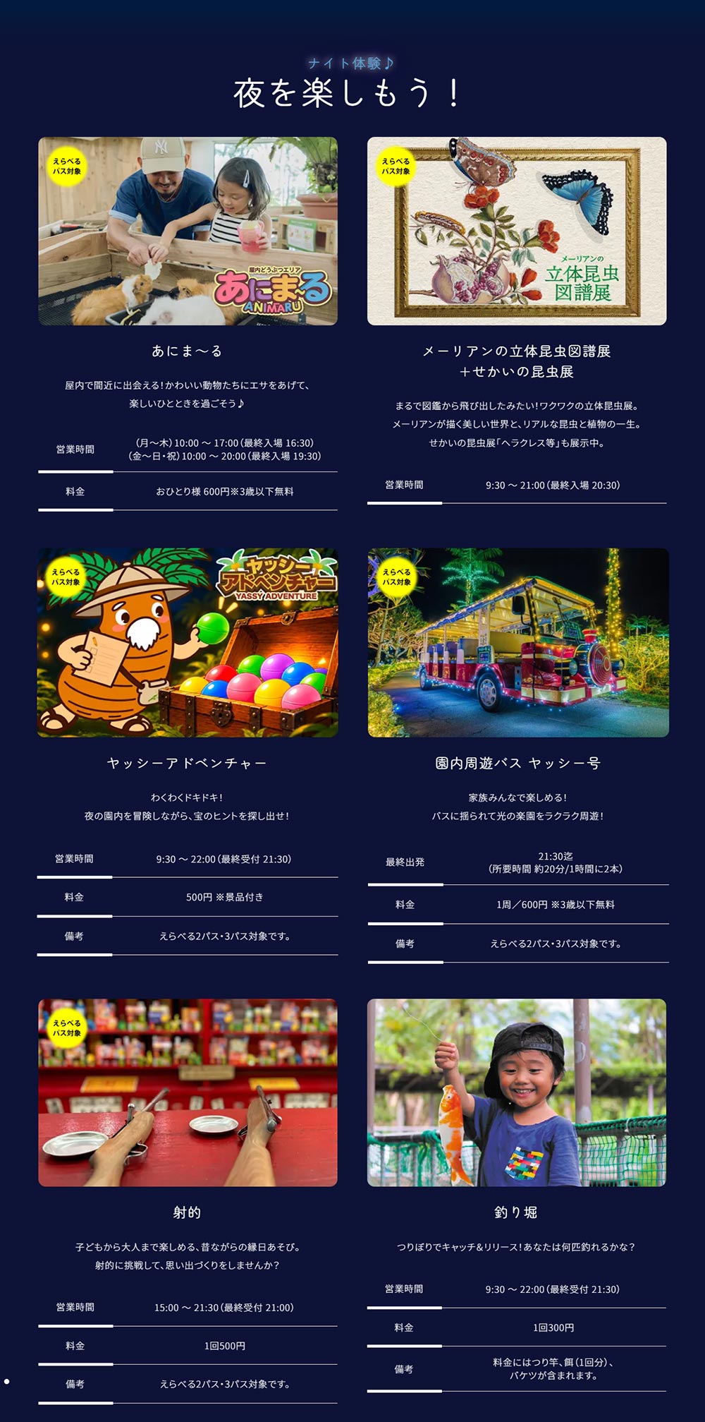 2026年10月23日～2027年5月24日　OKINAWA『南国イルミネーション2026-2027』沖縄の海は、夜も輝く　美らヤシパークオキナワ・東南植物楽園