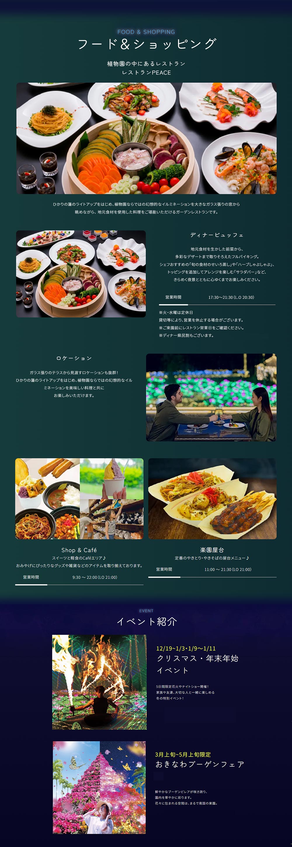 2026年10月23日～2027年5月24日　OKINAWA『南国イルミネーション2026-2027』沖縄の海は、夜も輝く　美らヤシパークオキナワ・東南植物楽園