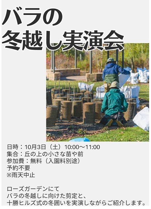 2026年10月3～31日『十勝ヒルズのハロウィンガーデン 2026』10月3日(土) 10:00〜11:00　バラの冬越し実演会